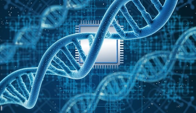 **Jak przenieść analizy bioinformatyczne nad długowiecznością do chmury: Przewodnik krok po kroku**