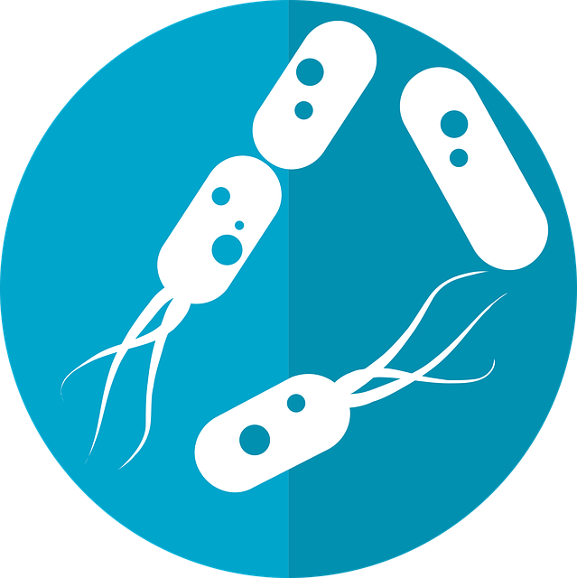 ** 5 mitów na temat biohackingu mikrobiomu skóry i ich wpływ na zdrowie psychiczne.
